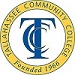 Tallahassee Community College Web Chamber Awards